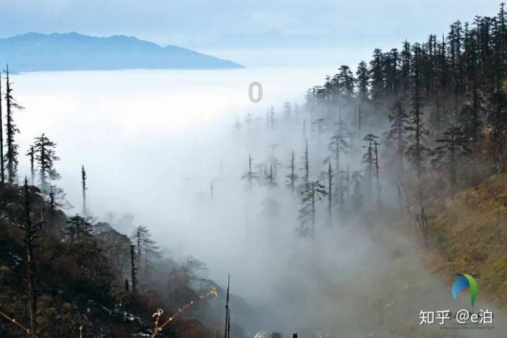 三小只僵尸的游戏时间3