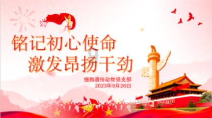16区在行动｜南开区区长聂伟迅：抓住天开园发展机遇 引导社会资本盘活更多存量
